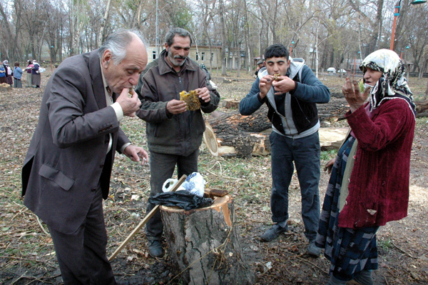 krs-ari-bal11.jpg krs-ari-bal11.jpg