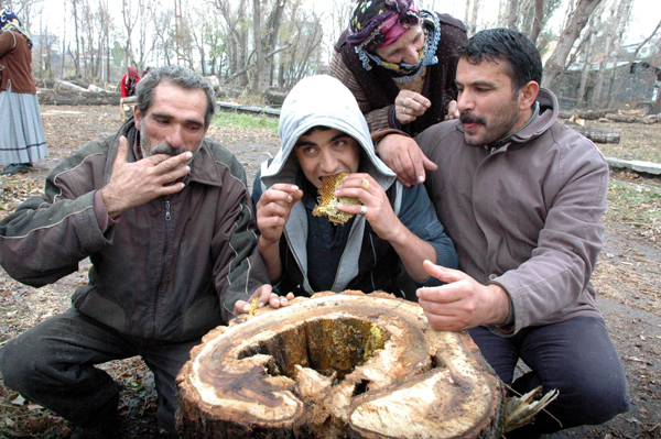 krs-ari-bal4.jpg krs-ari-bal4.jpg