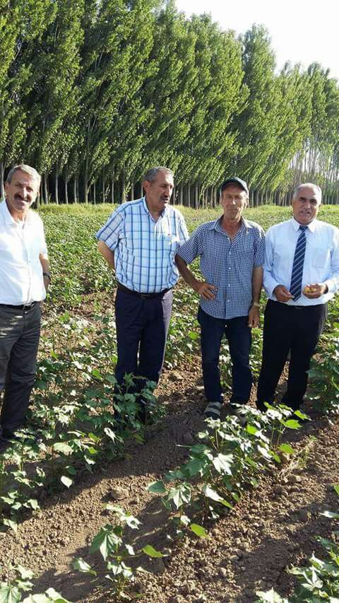 milletvekili-nurettin-aras,-tarlada...!.jpg