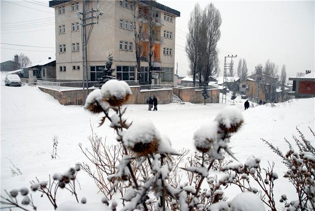 nu.20091218144641..jpg nu.20091218144641..jpg