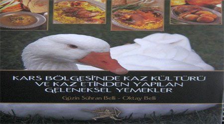 nu.20121120165643..jpg