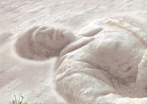 nuu.20121116170453..jpg nuu.20121116170453..jpg