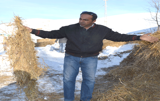 nuu.20130116120932..gif nuu.20130116120932..gif