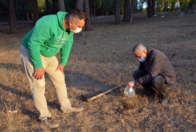 ormanlara-dikilecek-100-bin-meyve-fidani-hem-insanlari-hem-bozayilari-rahatlatacak-(17).jpg