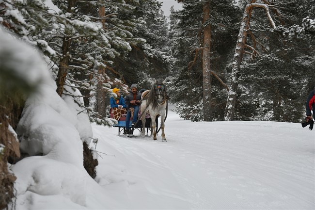 rus-gazetecilerin-sarikamis-kayak-ve-atli-kizak-keyfi-(8).jpg