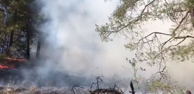 sarikamis’ta,-orman-yangini-4’uncu-gunde-de-devam-ediyor-(2).jpg