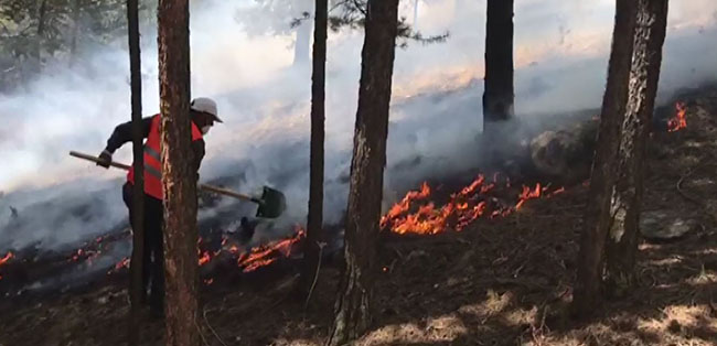 sarikamis’ta,-orman-yangini-4’uncu-gunde-de-devam-ediyor-(5).jpg