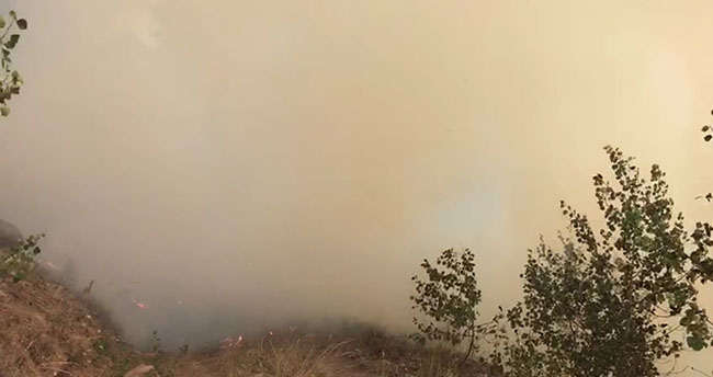 sarikamis’ta-orman-yangini-sonduruldu-(1).jpg