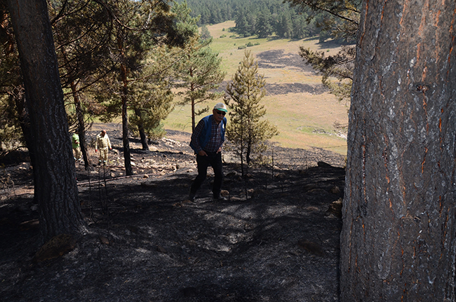 sarikamis’ta-vatandaslar-orman-yanginlarina-karsi-uyarildi-(3).jpg