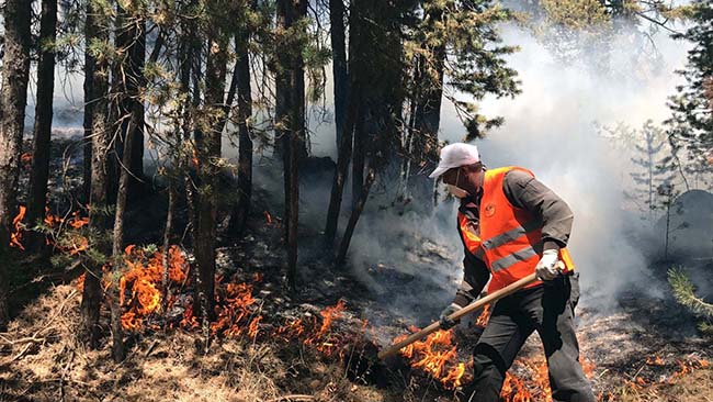 sarikamis-ormanlari-alev-alev-yaniyor-(1).jpg