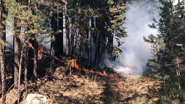 sarikamis-ormanlari-alev-alev-yaniyor-(7).jpg