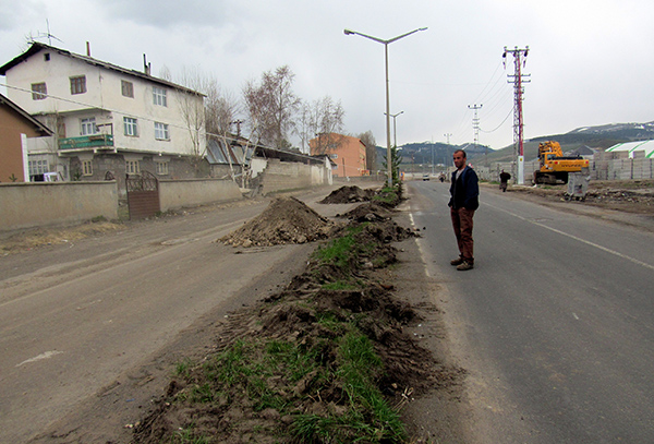 sarikamista-belediye-cadde-ve-sokaklari-agaclandiriyor-(1).jpg