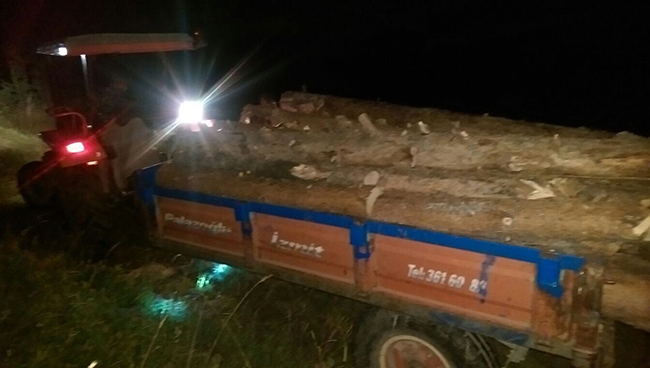 sarikamista-odun-kacakcilari-yakalandi-(2).jpg