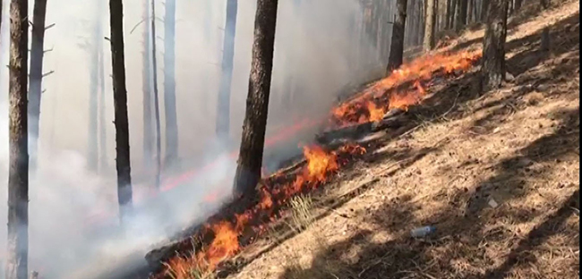 sarikamista-yangin-yeniden-basladi!-(3).jpg