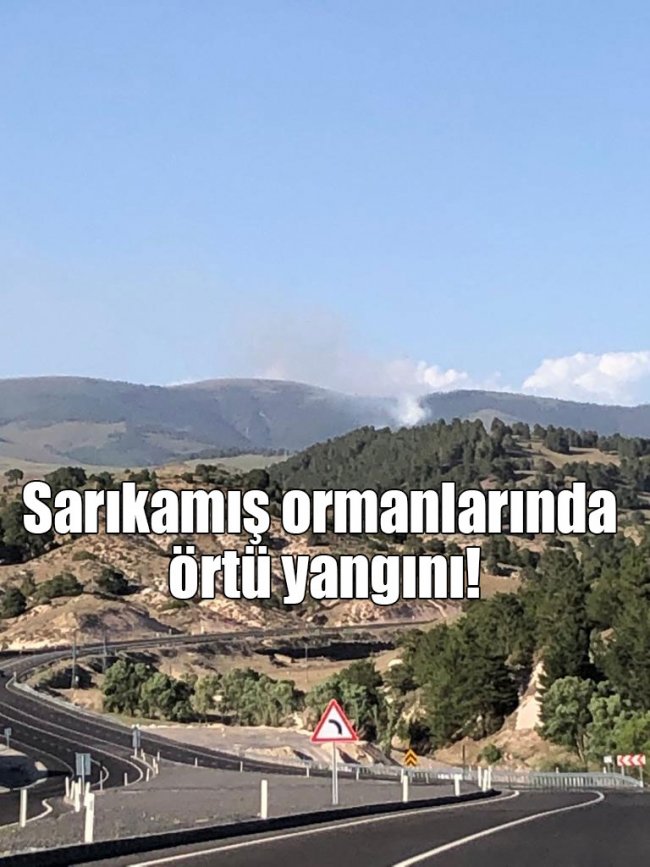 son-dakika...-sarikamis-ormanlarinda-ortu-yangini!-(1).jpg