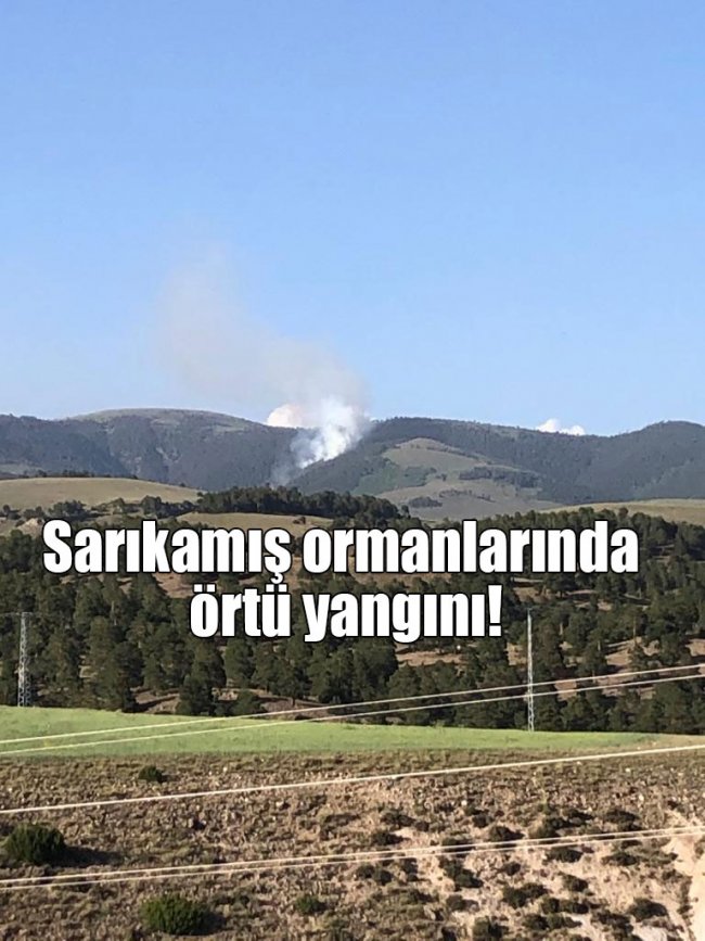son-dakika...-sarikamis-ormanlarinda-ortu-yangini!-(2).jpg
