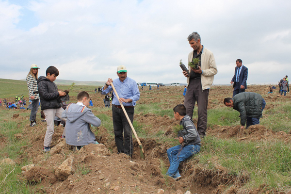 susuz’da-agac-dikimi-(1).jpg