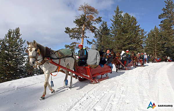 turkiye’nin-ilk-kis-oyunlari-festivali,-sarikamista-yapilacak-(2).jpg