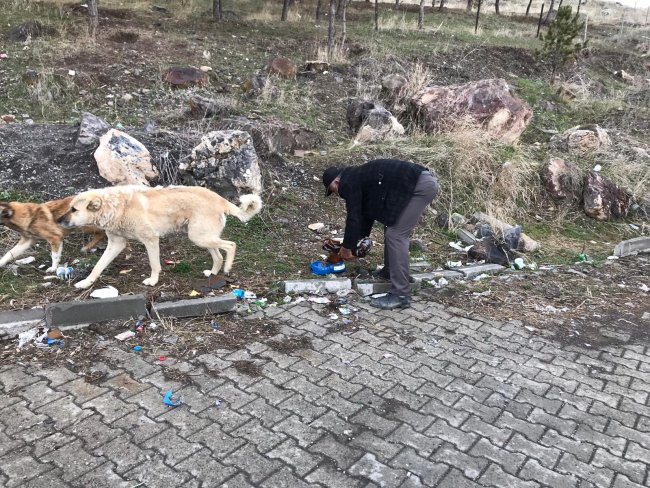vali-turker-oksuz’un-talimatiyla-sokak-hayvanlarina-mama-birakildi-(2).jpg