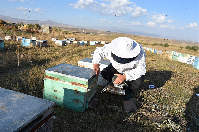 yagislar-karsta-bal-rekoltesini-yariya-dusurdu-(8).jpg