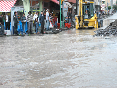 yes.20110720152734..jpg yes.20110720152734..jpg