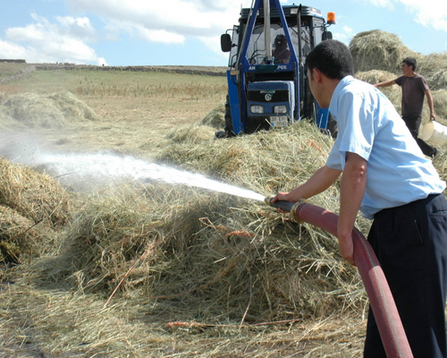 yes.20110809184641..jpg yes.20110809184641..jpg