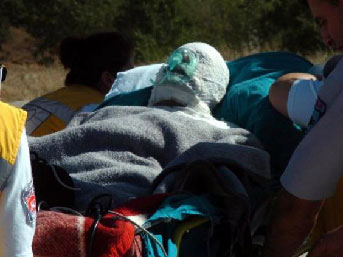 yes.20110914110458..jpg yes.20110914110458..jpg