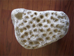 yes.20110917160326..jpg yes.20110917160326..jpg