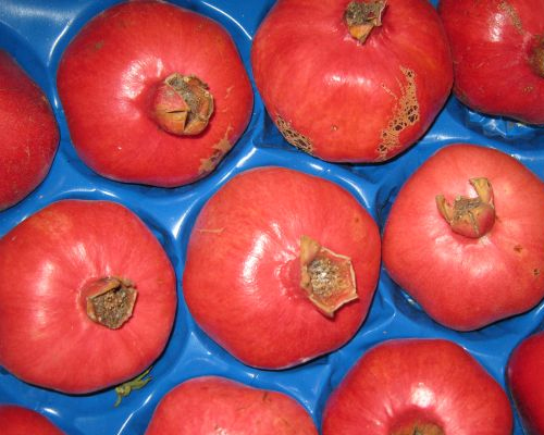 yes.20110923233218..jpg yes.20110923233218..jpg